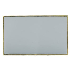 Hamilton LDBPDPB-BS Linea-Duo CFX Polished Brass Frame/Bright Steel Front Double Blank Plate Insert