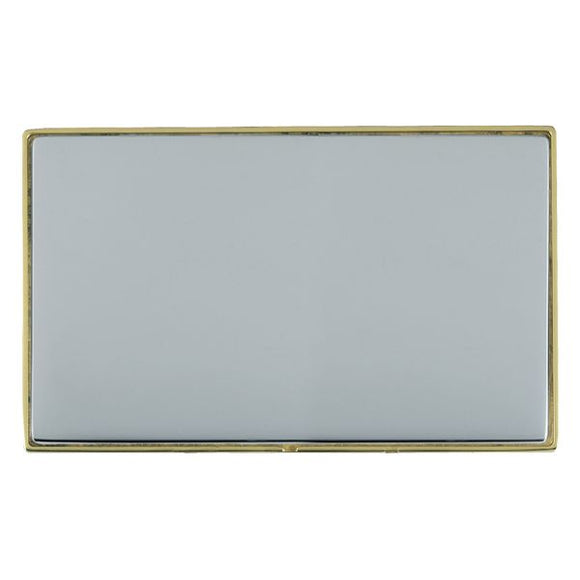 Hamilton LDBPDPB-BS Linea-Duo CFX Polished Brass Frame/Bright Steel Front Double Blank Plate Insert
